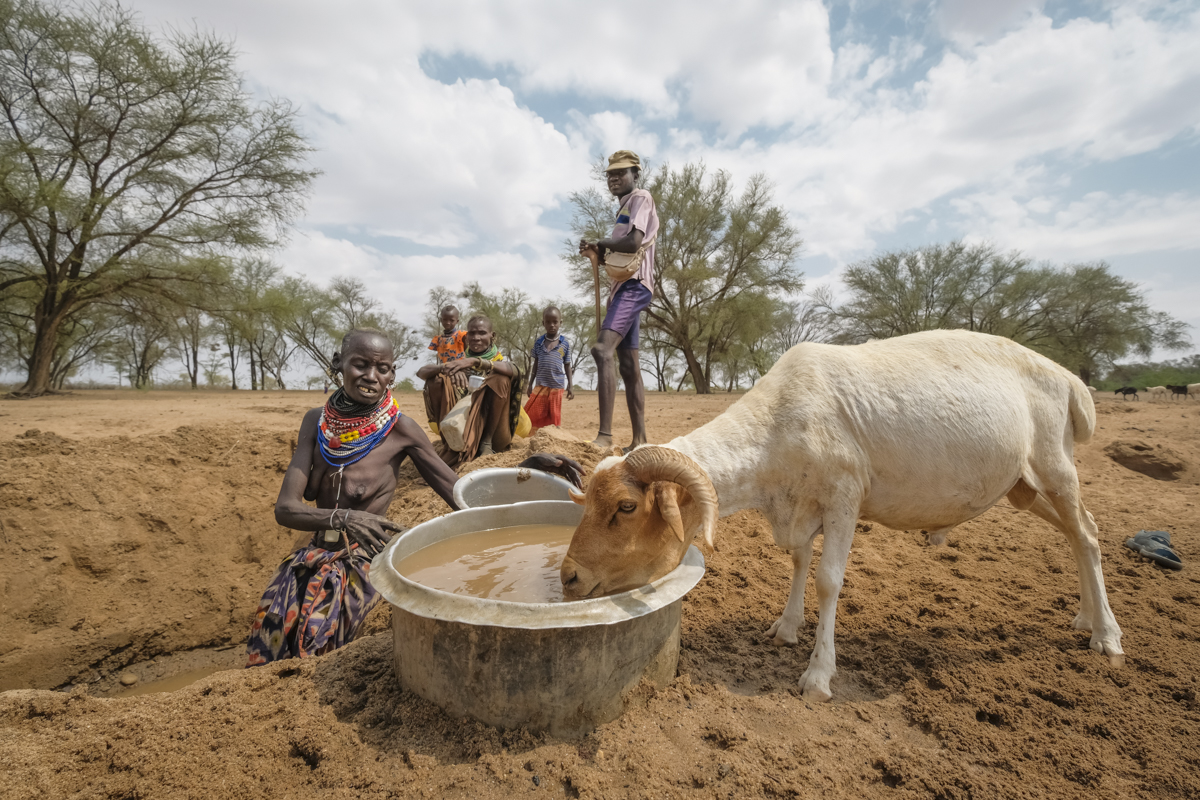 Kenia Dürre Eine Ziege trinkt aus einem Eimer mit schmutzigem Wasser. Hinter ihr stehen einige Menschen um ein Loch herum, der Boden ist ausgetrocknet.