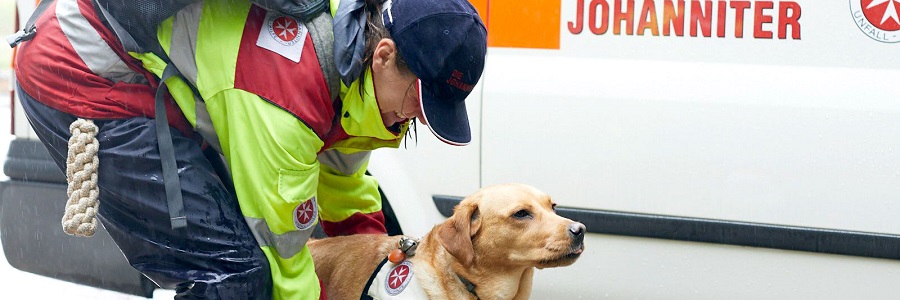 Mensch und Hund bilden ein starkes Team.