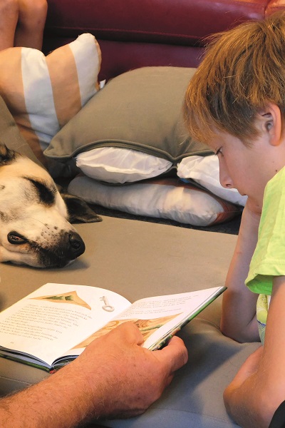 Zur Ausbildung eines Lesehundes gehört auch ein Praxisseminar, in dem er gemeinsam mit dem Hundehalter auf seinen Einsatz in der Schule vorbereitet wird.