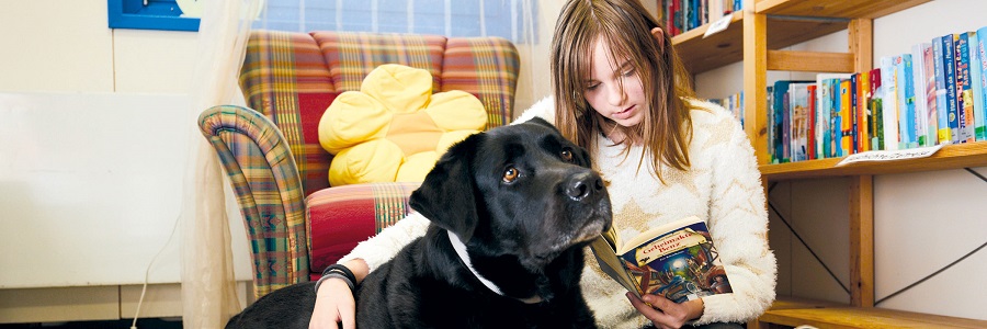 Vorlesen in entspannter Atmosphäre: Der Lesehund hört ruhig und geduldig zu.