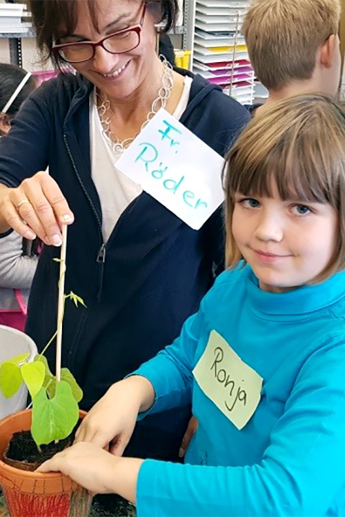Die Kinder pflanzen eine kleine Pflanze um das Leben zu beobachten.