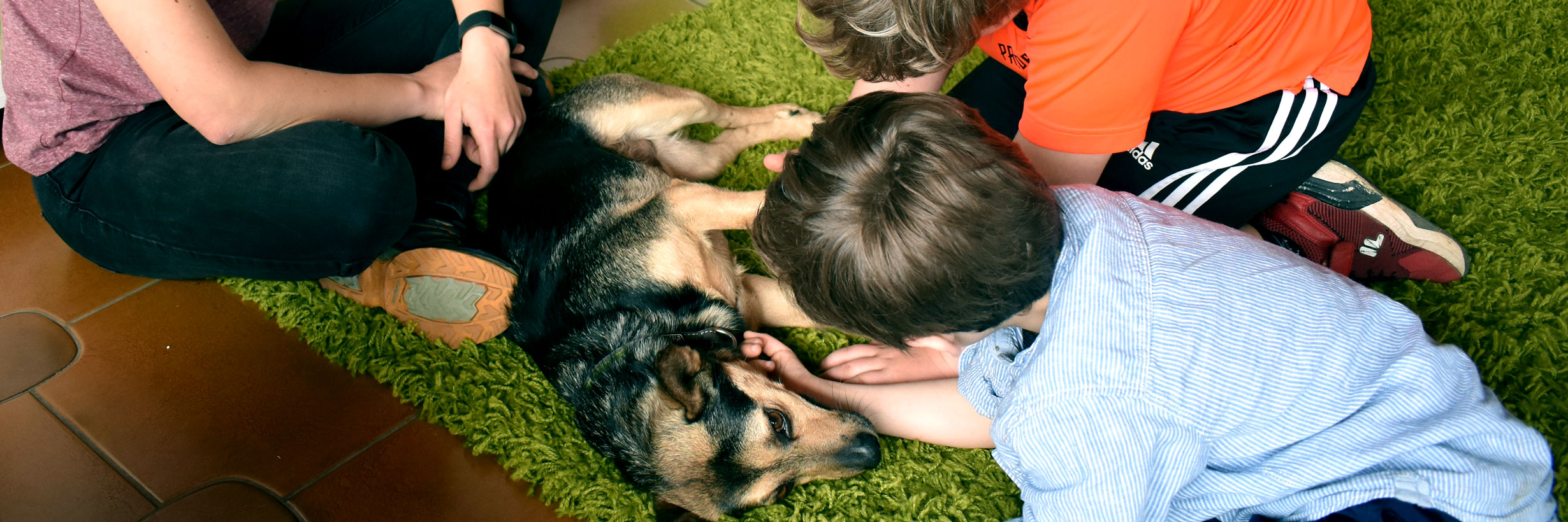 Besuchshund Michel kommt regelmäßig als Teil des tierpädagogischen Ansatzes vorbei. Auch scheue Kinder tauen bei ihm auf.