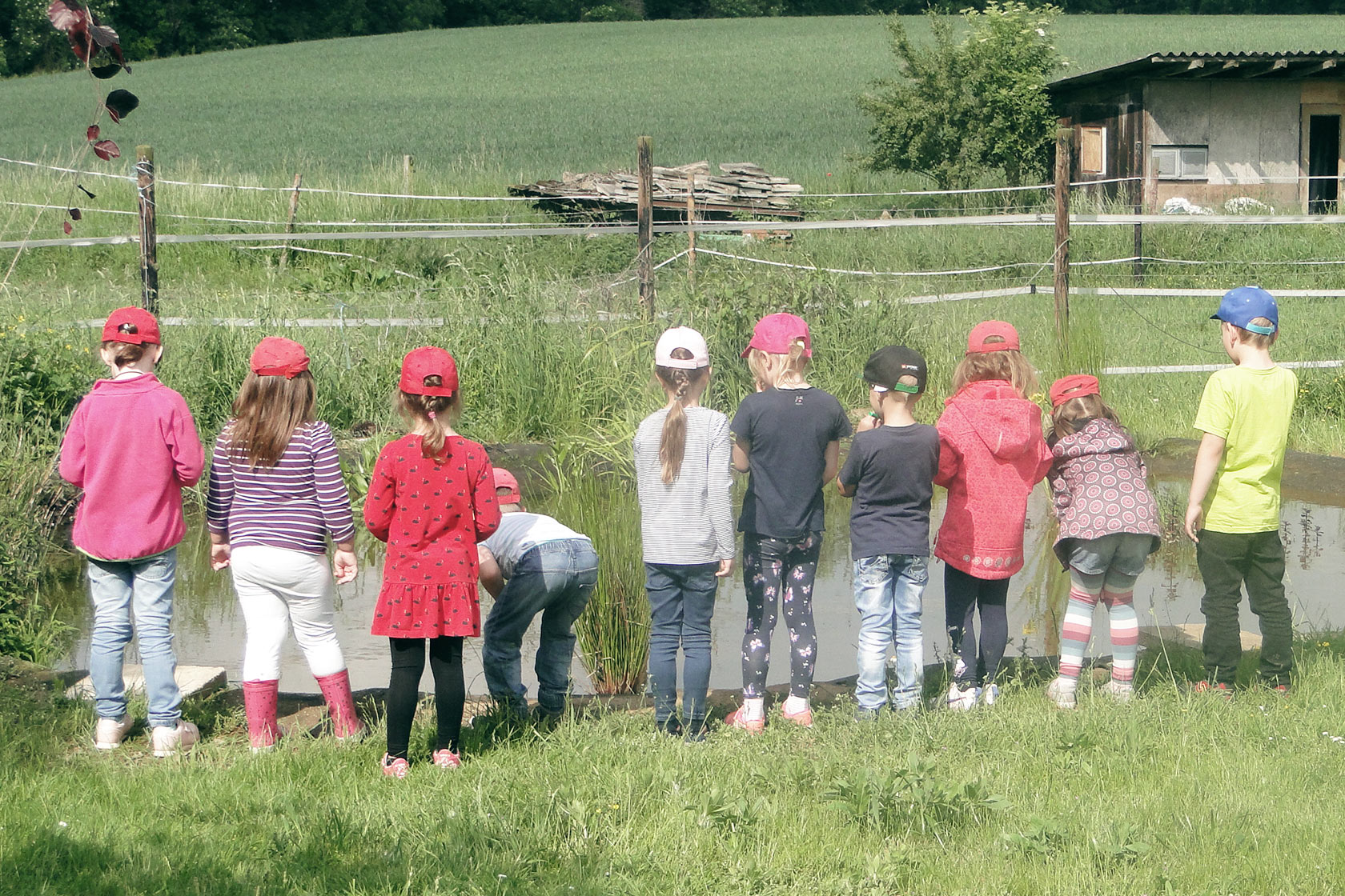 Waldtag der Johanniter-Kindertagesstätte Nörvenich Kinder sind von hinten zu sehen, wie sie das Leben in einem Tümpel beobachten.