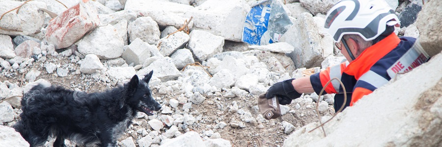 Unsere Rettungshundeteams retten Leben, wenn sie vermisste Kinder, verschüttete Menschen, verunglückte Wanderer oder demente Personen aufspüren.