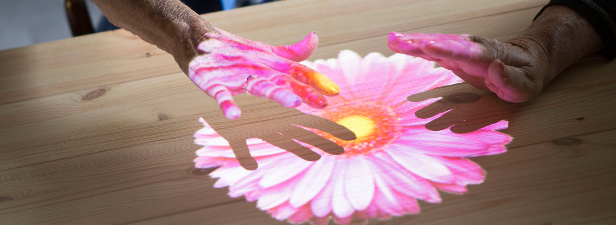 Hände auf einem Blumenbild, das über die Tovertafel auf einen Tisch projiziert ist.