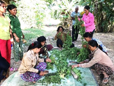 Frauen arbeiten im Garten