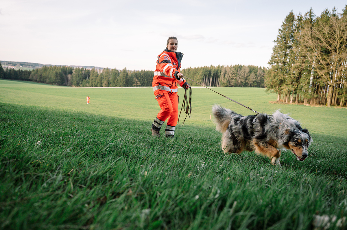 Eine Frau in auffälliger Einsatzkleidung hält einen Rettungshund an der Leine. Der Hund schnüffelt konzentriert im Gras, während ein zweiter Einsatzhelfer weiter entfernt auf der Wiese steht. Im Hintergrund ist ein Wald zu sehen.