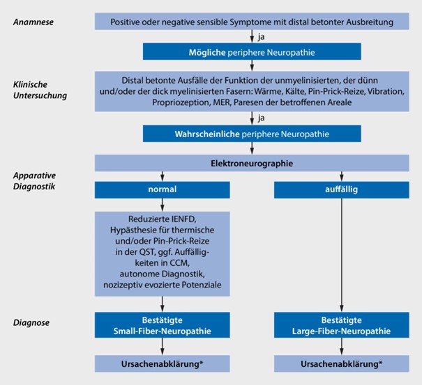 Grafische Darstellung der Diagnostik von SFN