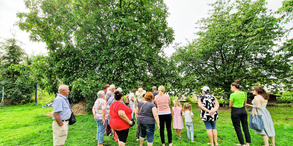Menschen in einem großen garten mit Bäumen