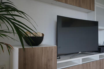 Fernsehgerät neben Zimmerpflanze
