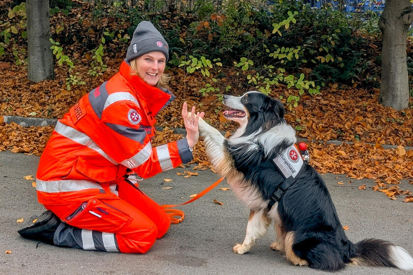 Eine Frau in orangener Einsatzkleidung der Johanniter gibt einem Rettungshund im herbstlichen Umfeld ein "High Five".