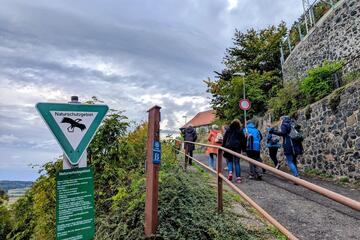 Trauerwandergruppe von hinten fotografiert auf ihrem Spaziergang