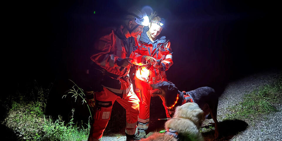 Es ist Nacht. Zwei Einsatzkräfte mit Leuchten am Kopf und mit Hunden im Wald. 