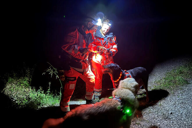 Es ist Nacht. Zwei Einsatzkräfte mit Leuchten am Kopf und mit Hunden im Wald. 