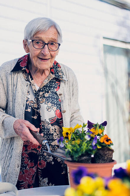 Eine Dame in einer grauen Jacke pflanzt Blumen ein