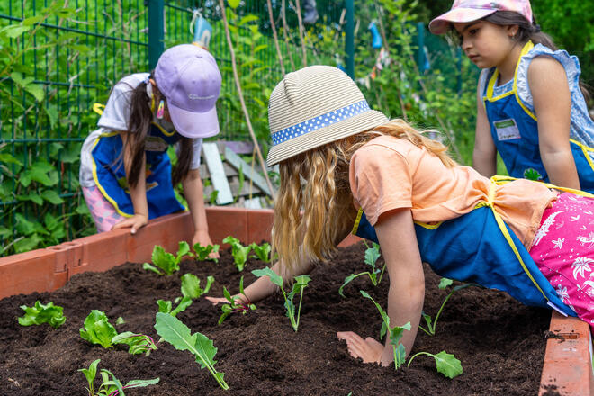 Neues Gemüsebeet im Nimmerland Hatten viel Spaß beim Pflanzen, Säen und Gießen von Kohlrabi, Salat und Karotten: Die Kinder der Johanniter-Kita Nimmerland.