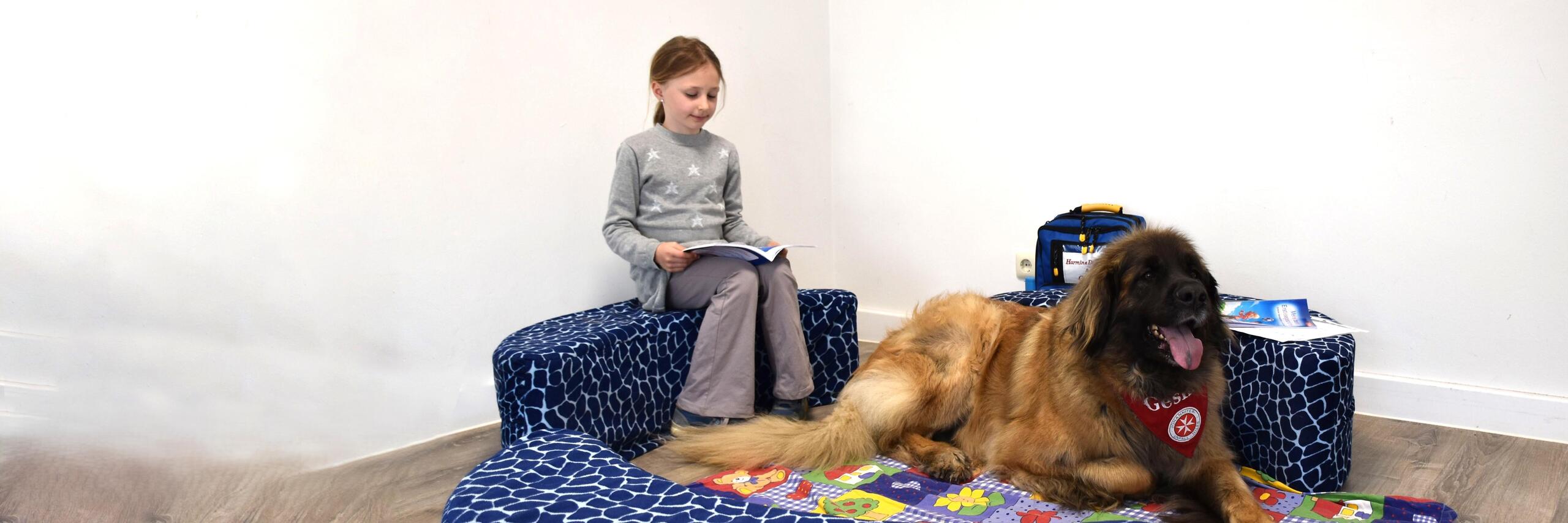 Ein Kind liest einem Hund vor