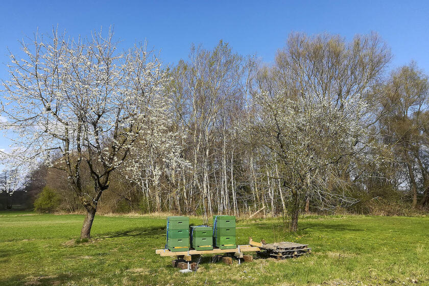 Naturkindergarten Oststeinbek