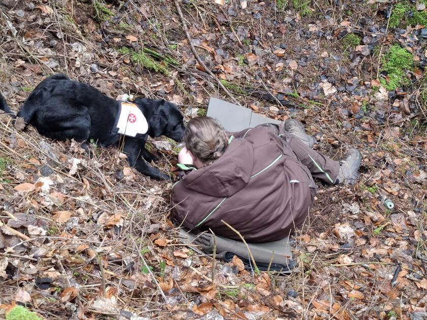 Suchhund mit Kennzeichnung findet eine liegende Person im Laub eines bewaldeten Hangs.