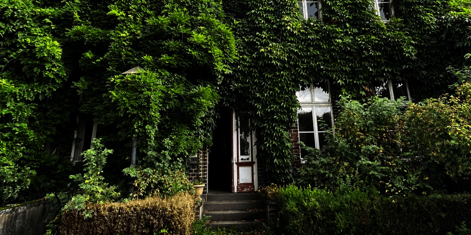Grün zugewachsener Hauseingang