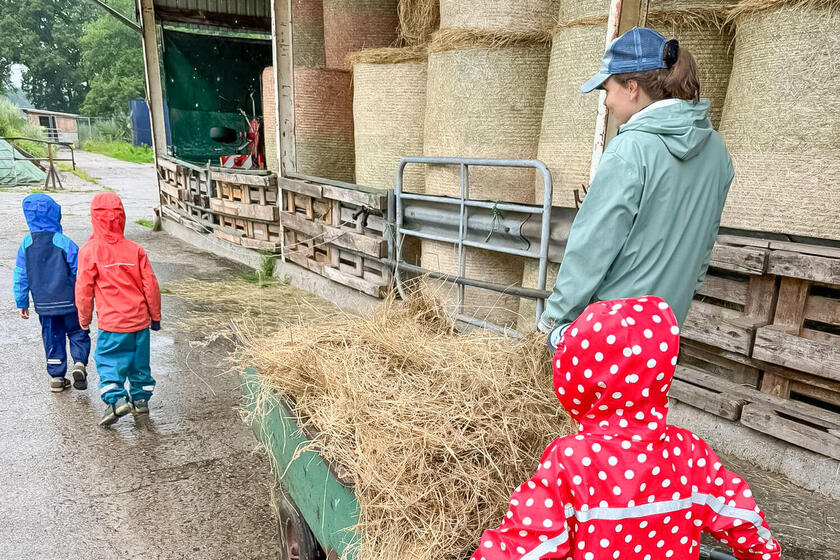 Ein Kind schiebt eine Schubkarre mit Heu.