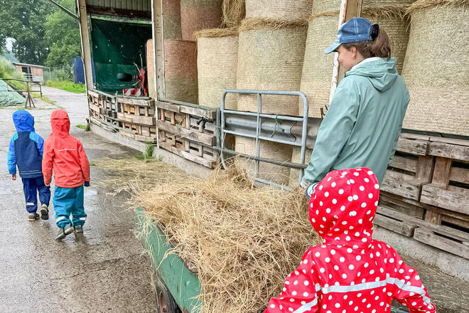 Ein Kind schiebt eine Schubkarre mit Heu.