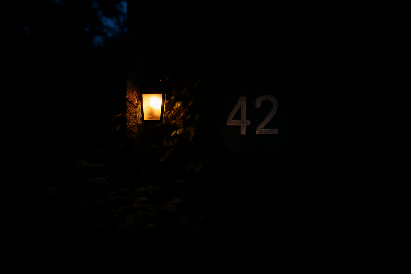 Beleuchtete Hausnummer 42 an einer Hauswand bei Dunkelheit. Um die Nummer herum sind dicht bewachsene Pflanzen. Die hell leuchtende Außenlampe sorgt dafür, dass die Ziffern trotzdem gut sichtbar ist.