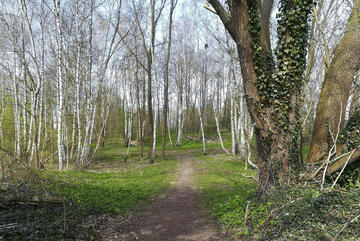 Naturkindergarten Oststeinbek