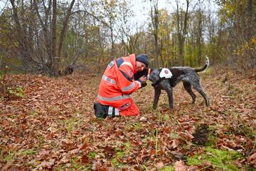 Ein Mitglied der Rettungshundestaffel belohnt seinen Hund für einen erfolgreichen Einsatz mit Streicheleinheiten.