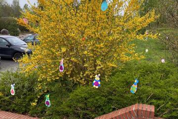 In einem Forsythienstrauch hängen gebastelte Osterhasen aus Papier.