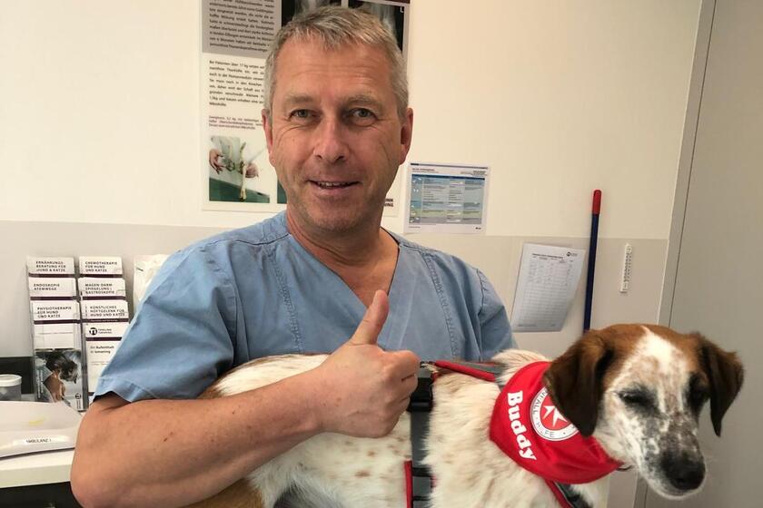 Hund Buddy mit Tierarzt Dr. Zahn