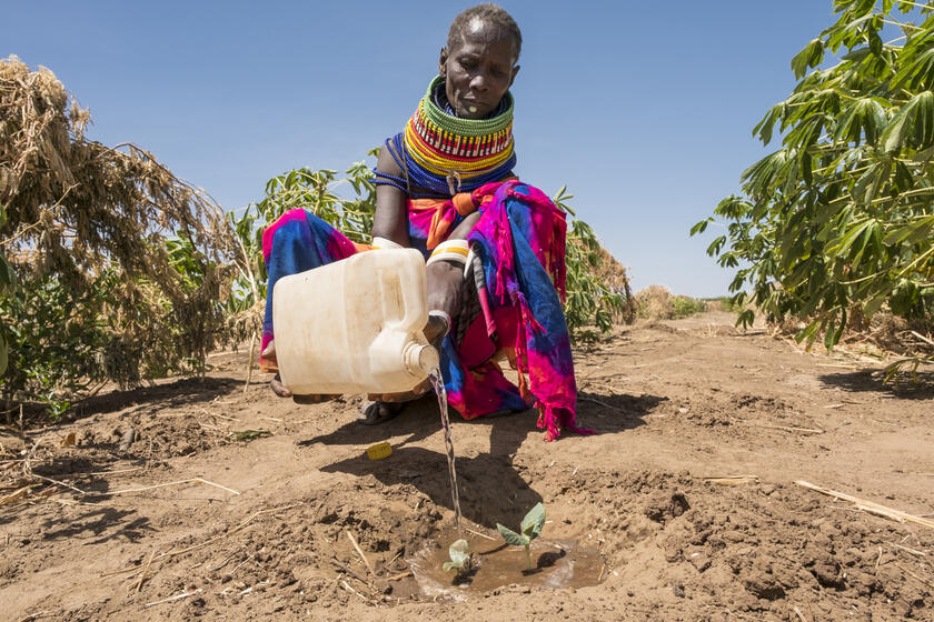 Eine Frau mit einem Wasserkansiter auf ihrem Feld