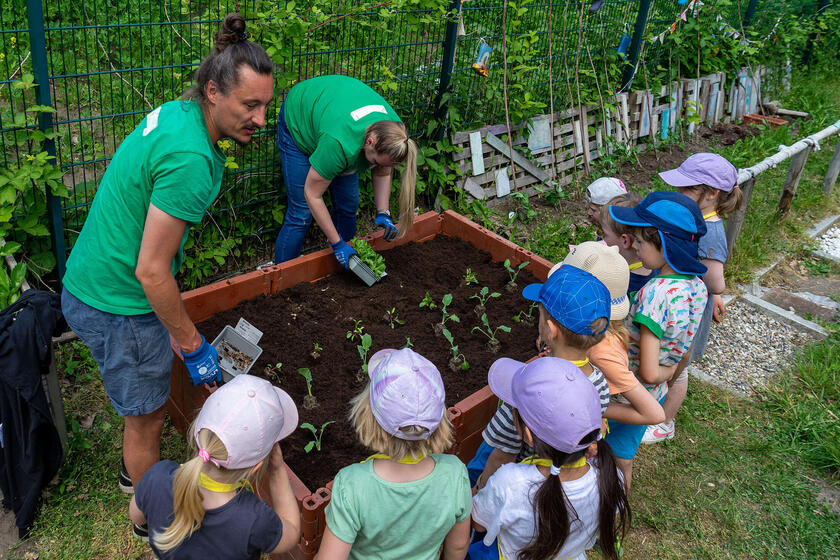 Florian Leichsenring und Angelique Müller von der EDEKA Stiftung bestückten das Hochbeet mit Gemüsesetzlingen, das im Garten der der Johanniter-Kita Nimmerland steht.