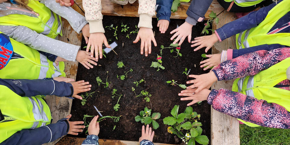Kinderhände über einem bepflanzten Hochbeet