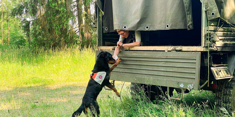Ein Hund entdeckt eine person in einem Armeefahrzeug