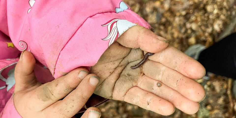 Ein Kind hält in seiner Hand einen Regenwurm