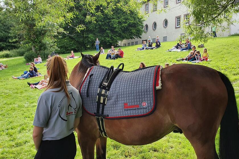 Ein Johanniter-Einsatzpferd.