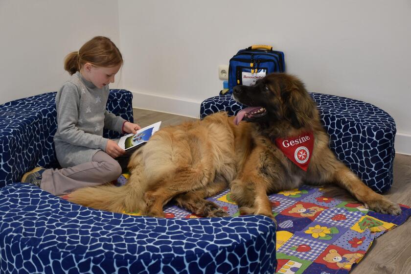 ein Kind sitzt in einer Kuschelecke auf dem Boden und liest in einem Buch. Ein Hund der Johanniter sitzt daneben und hört aufmerksam zu.