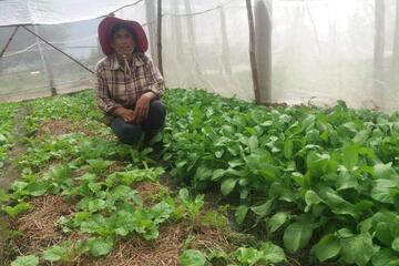 Cheng Soveth in ihrem Gemüsegarten