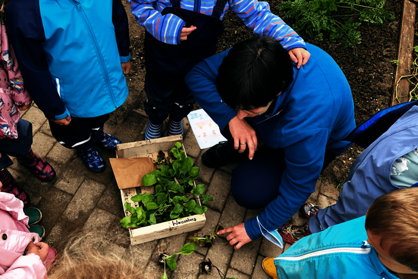 Erzieherin Christa Lechner begutachtet mit den Kindern die kleinen Pflanzen, die für die November-Ernte gleich in die Erde kommen. Kinder und eine hockende Frau mit dunklen Haaren beschäftigen sich mit einer Holzkiste mit kleinen Pflanzen, die zwischen ihnen auf dem Boden steht.