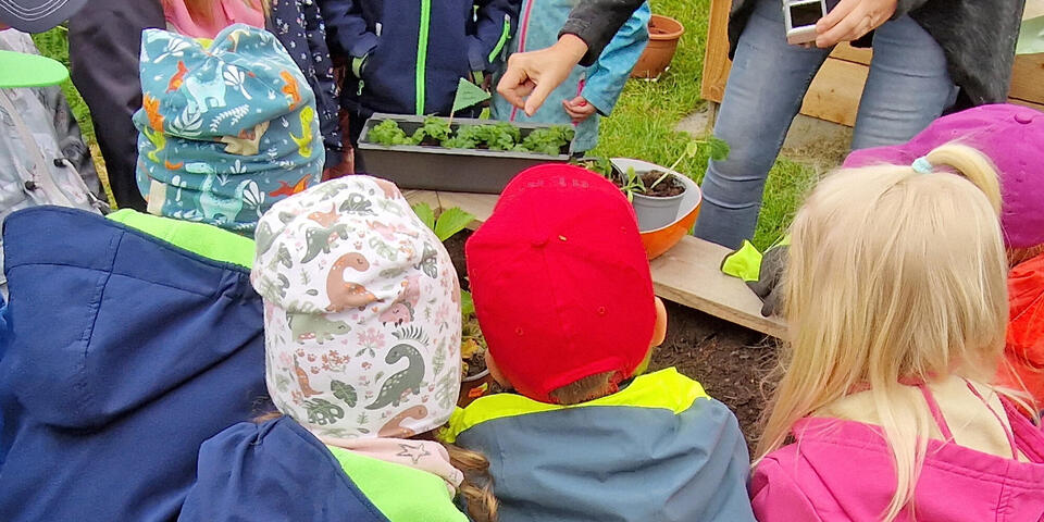 Kinder beflanzen ein Hochbeet
