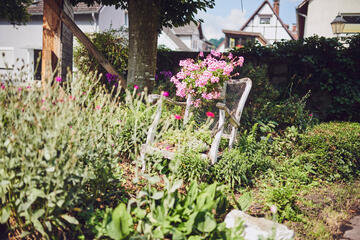 Blick auf einen bepflanzten Stuhl im Garten des Johanniter-Stift Lügde
