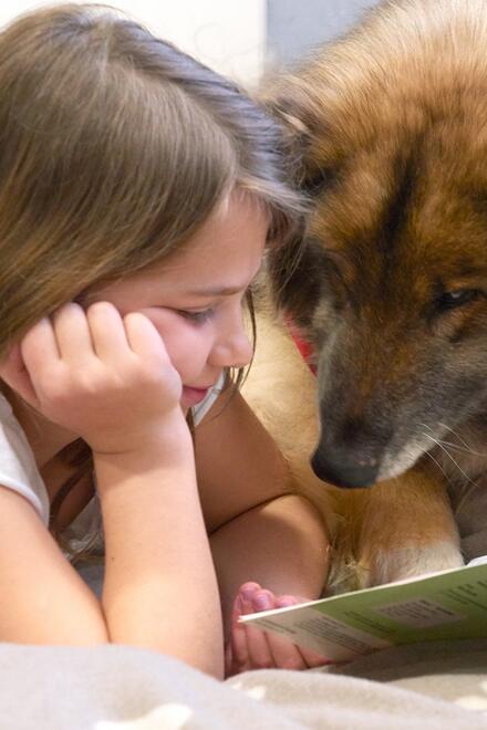 Johanniter Lesehund hilft bei Lesen