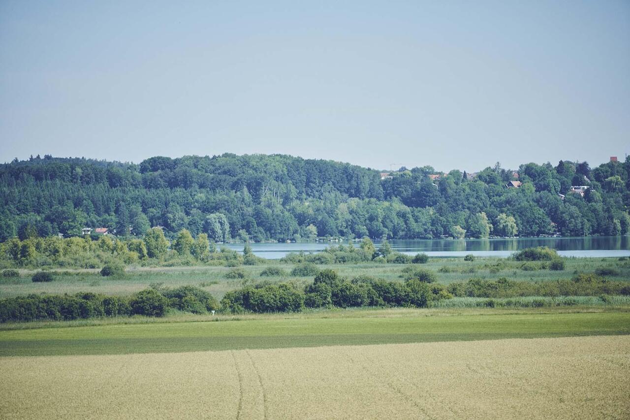 Blick in die Natur und auf den Ammersee