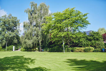 Blick über eine großzügige Rasenfläche auf eine Baumgruppe am Johanniter-Haus