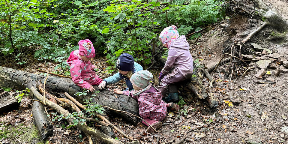 Vier Kinder spielen im Wald an einem auf dem Boden liegendem Baum