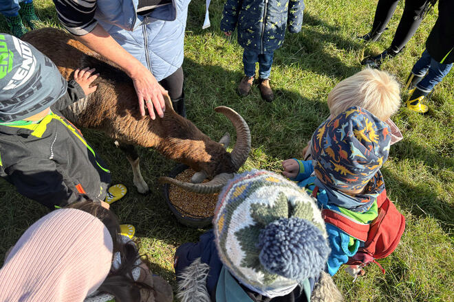 Kinder füttern aus einem Eimer Tiere