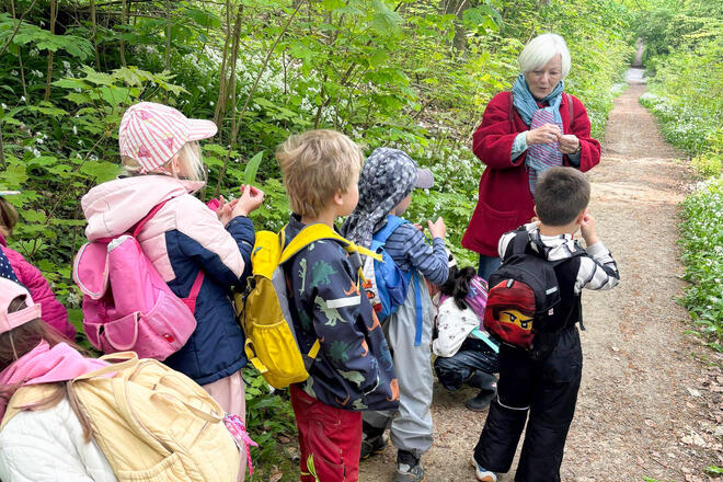 Eine Frau mit Kindern auf einem Waldweg. Sie hält eine Pflanze in der Hand
