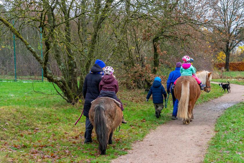 Therapeutischer Reitspaziergang im Johanniter-Kinderhaus Wilde 13