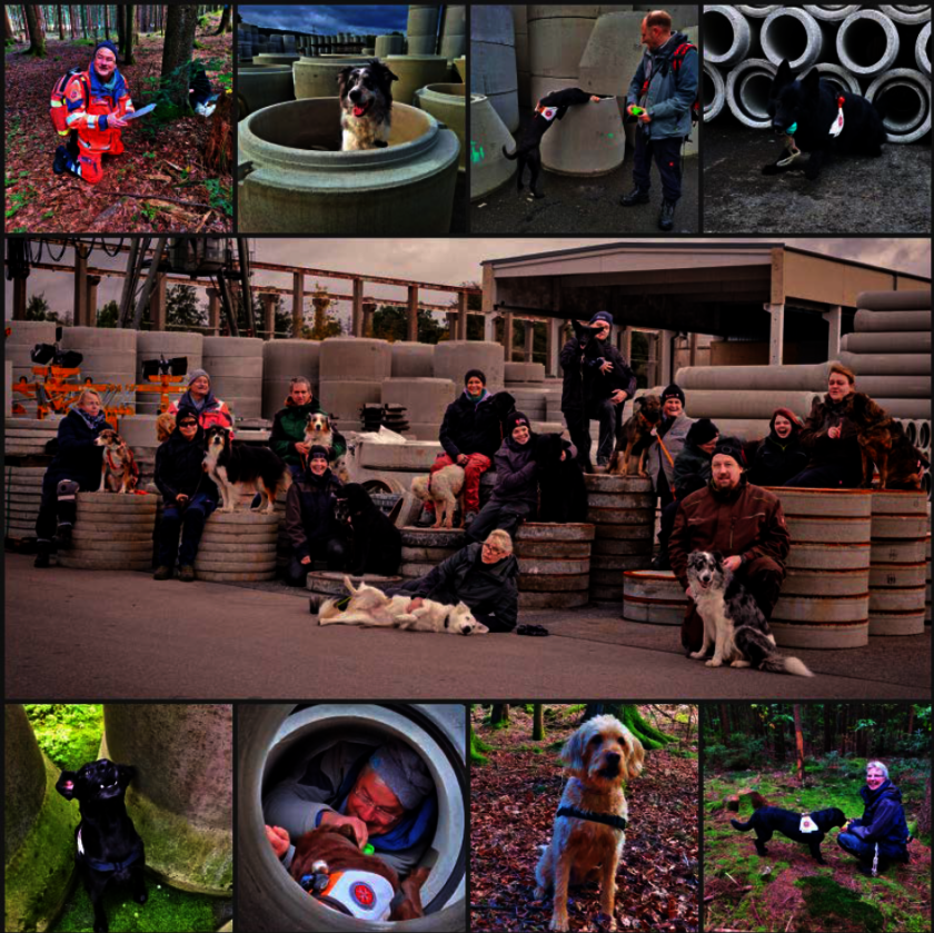 Collage aus mehreren Bildern: Mitglieder der Johanniter-Rettungshundestaffel Mittelfranken trainieren mit ihren Suchhunden auf einem Baustofflager und im Wald. Die Fotos zeigen die Teams bei unterschiedlichen Übungen, Gruppenfotos mit Mensch und Hund sowie erfolgreiche Suchaktionen.